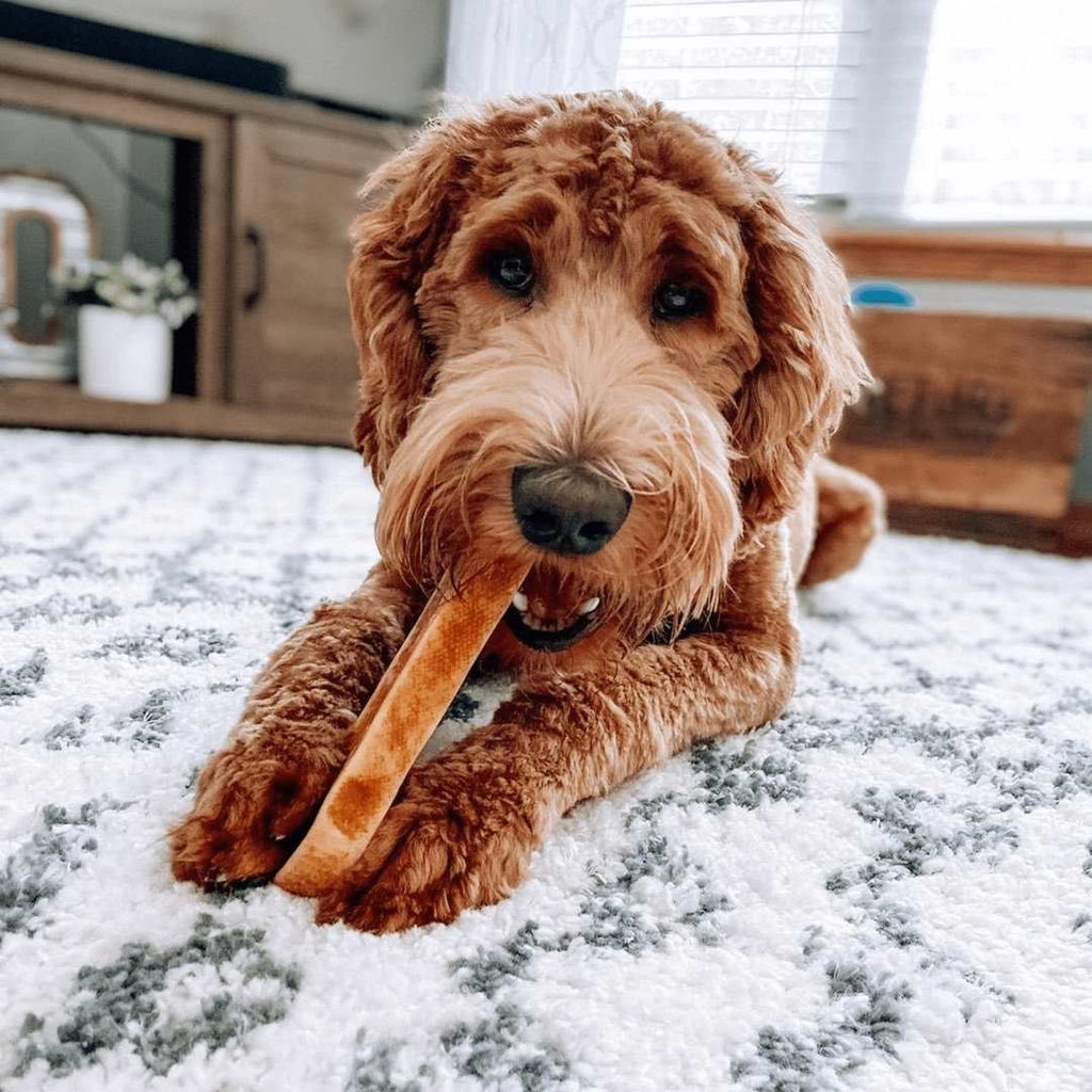 yak9 - 100% Yak Milk Chews for Dogs