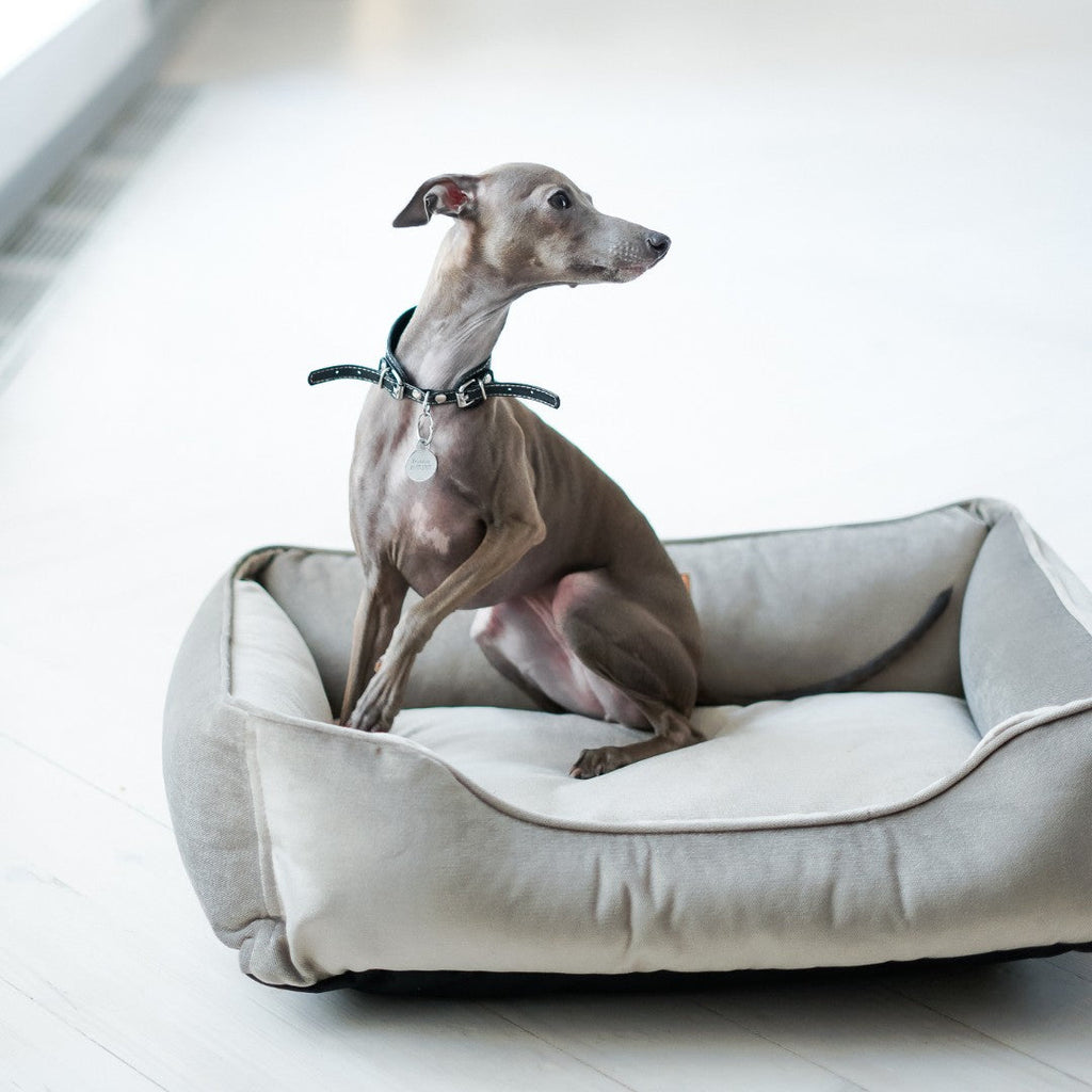 Chester & Lee - Classic Velvet Sleeper Dog Bed Gray