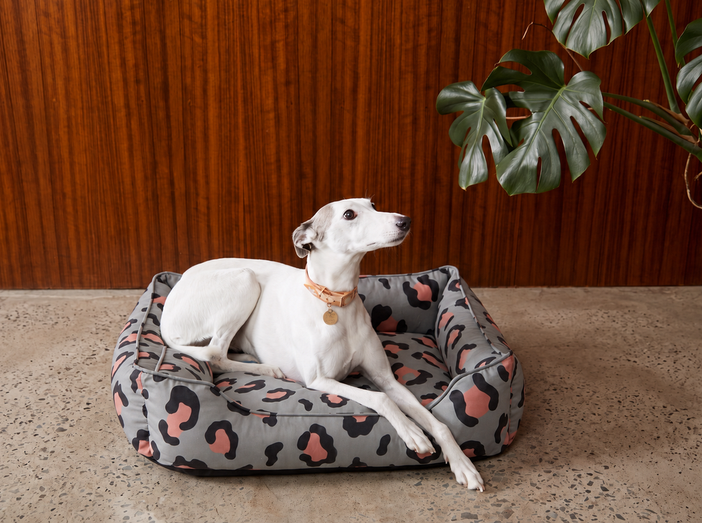 Chester & Lee - Velvet Sleeper Dog Bed Gray & Peach Leopard Print