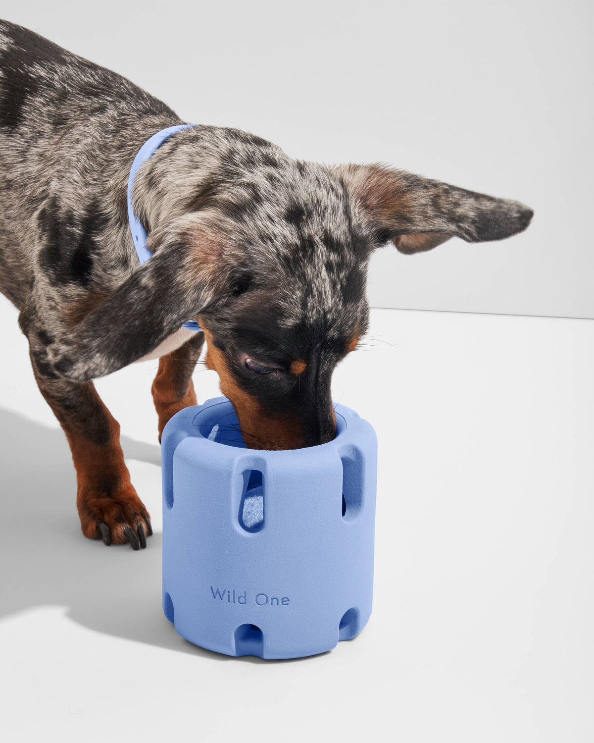Tennis Tumble Interactive Dog Toy: Moonstone