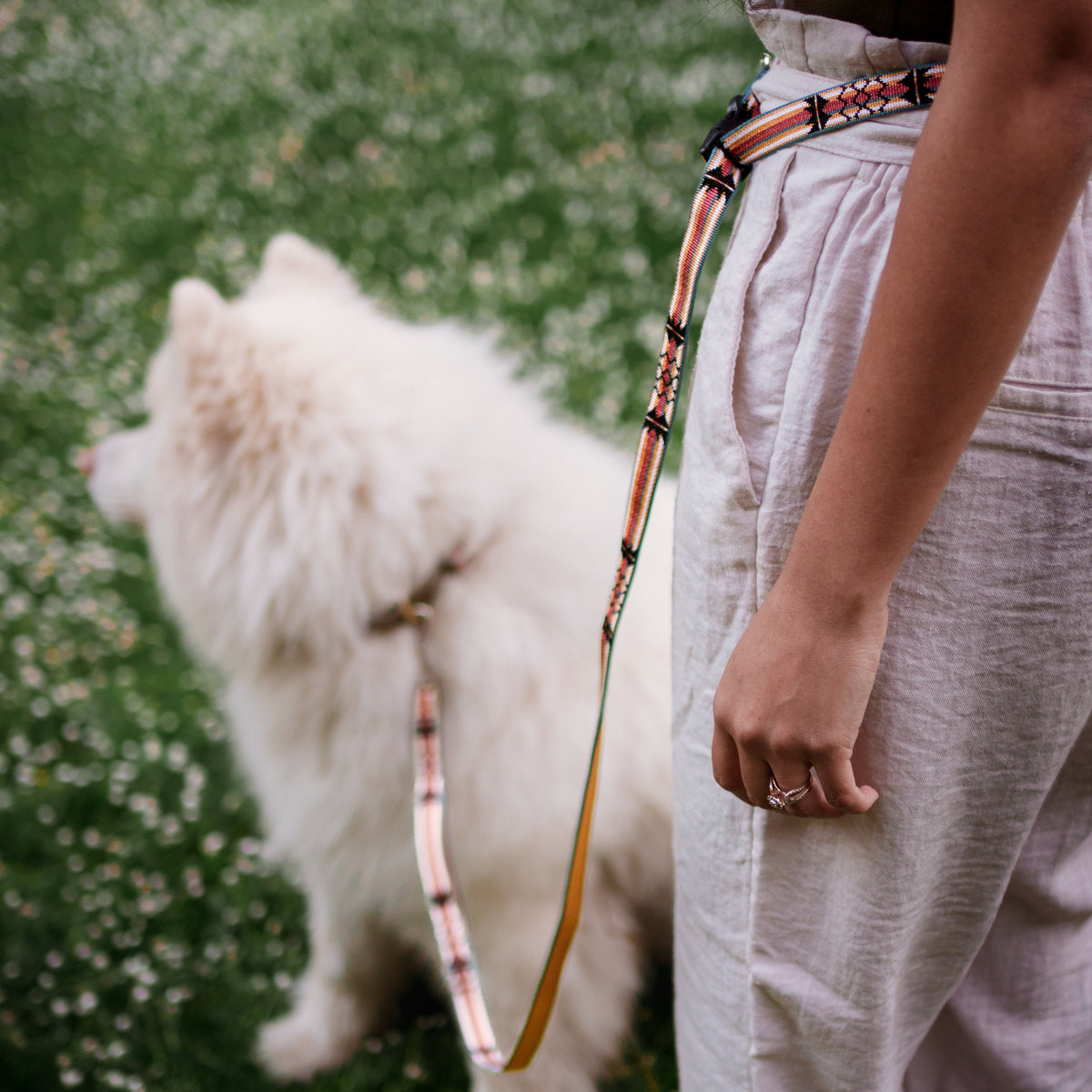 Adjustable Hands-Free Leash - 3/4-Inch