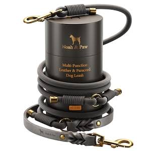 Noah & Paw Leather Paracord Dog Leash Gray