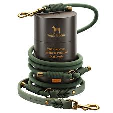 Noah & Paw Leather Paracord Dog Leash Dark Green