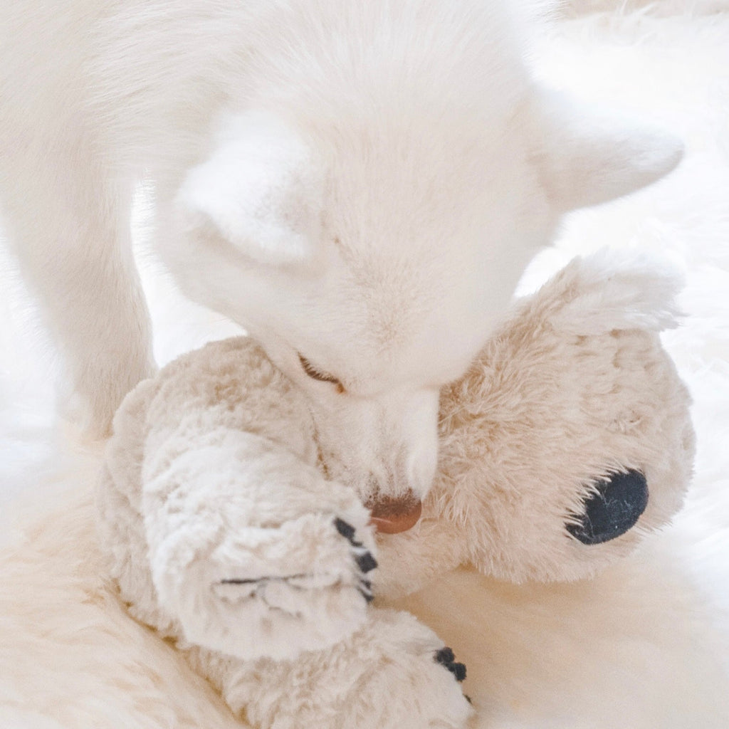Fur Elise Koko Koala Plush Dog Toy - Maxi — toy shown during play