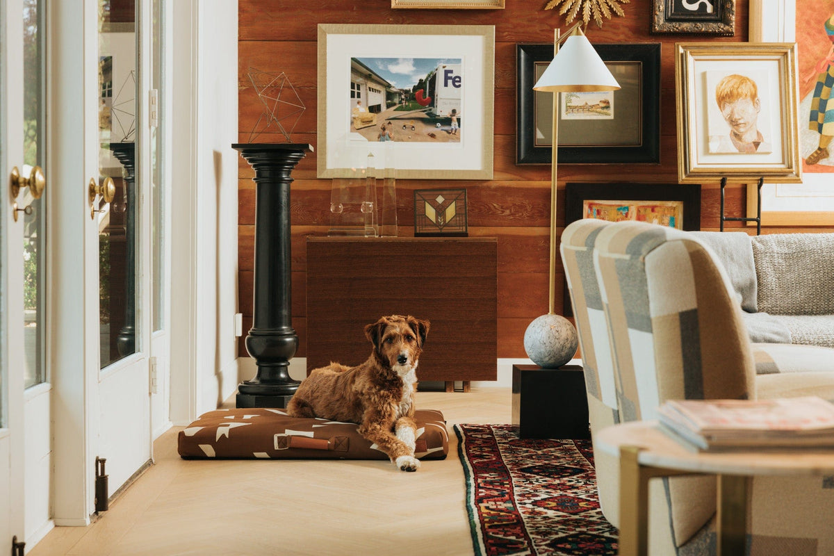 John Legend | Brown Fragment Dog Bed or Bed Cover