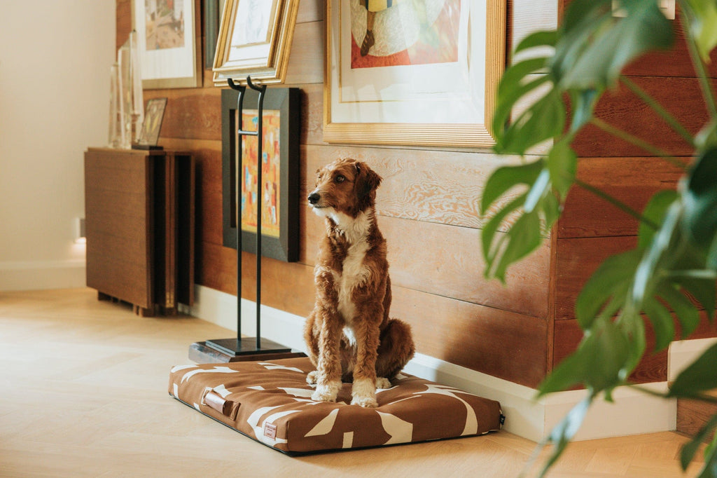 John Legend | Brown Fragment Dog Bed or Bed Cover