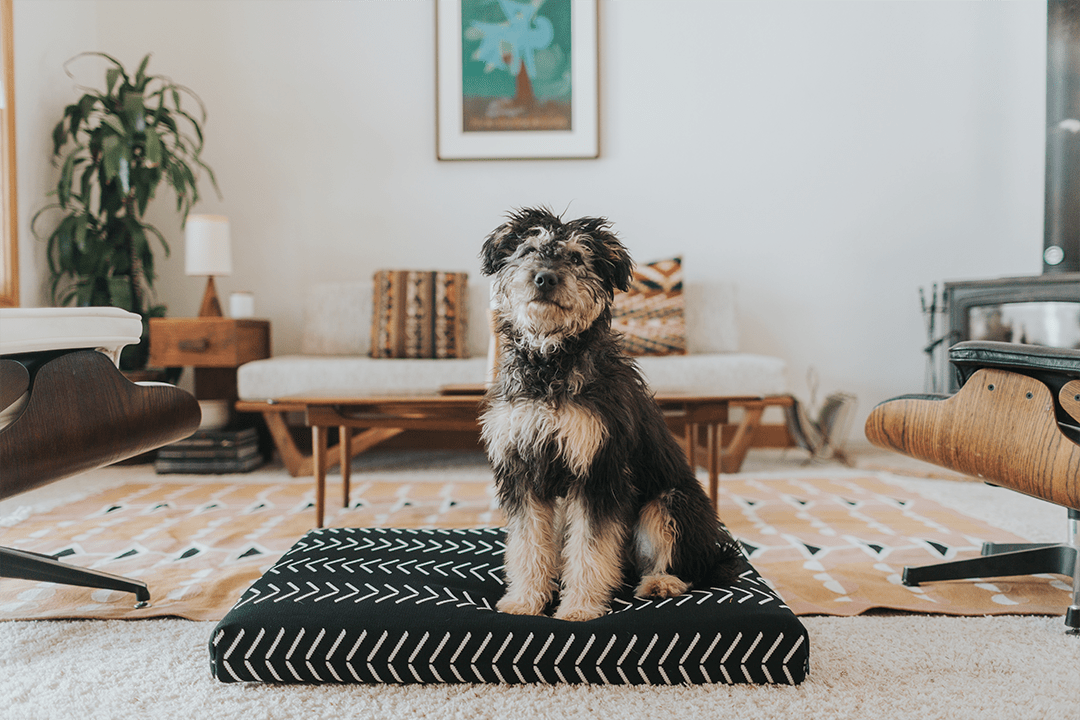 Black Chevron - Boho Dog Bed or Bed Cover