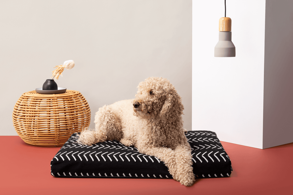 Black Chevron - Boho Dog Bed or Bed Cover