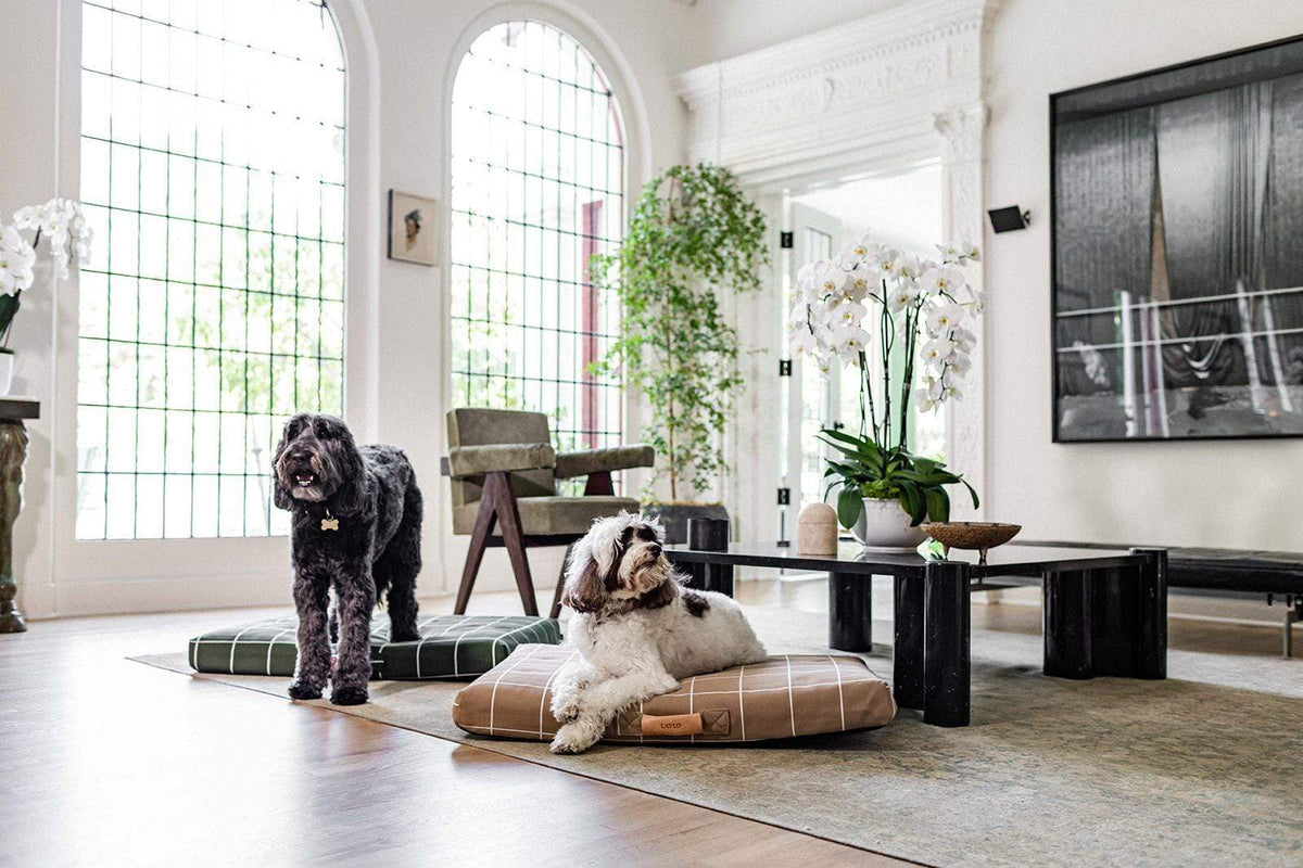 Tan Grid | Dog Bed or Bed Cover