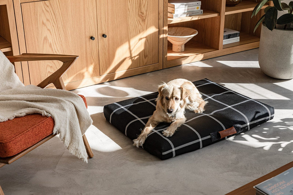 Black Plaid Dog Bed - Dog Bed or Bed Cover