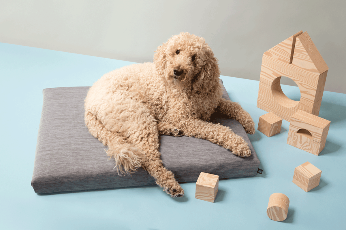 Gray - Modern Dog Bed or Bed Cover