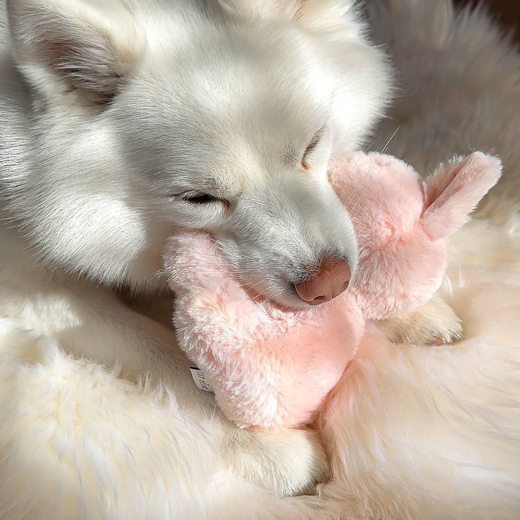 Fur Elise Ruby Rabbit Plush Dog Toy Set - Mini & Maxi — toy shown during play