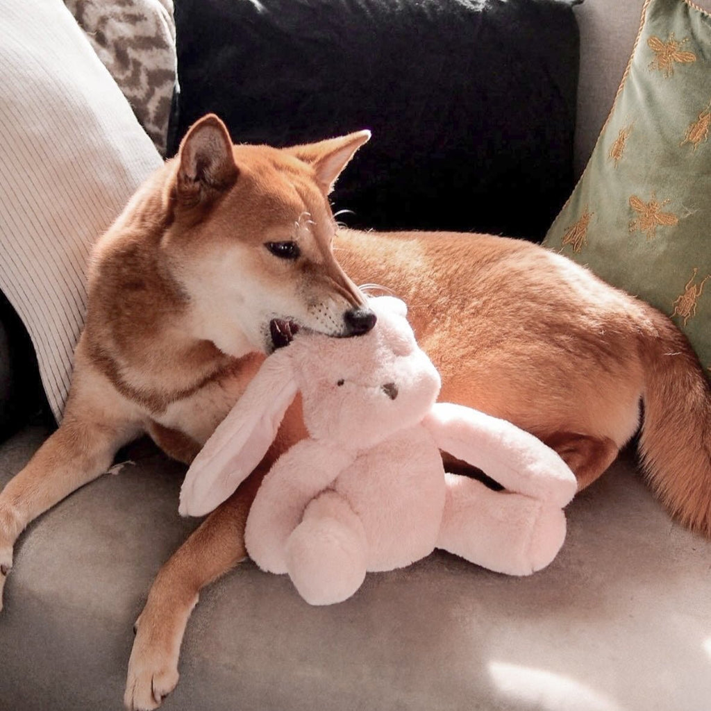 Fur Elise Ruby Rabbit Plush Dog Toy Set - Mini & Maxi — toy shown during play