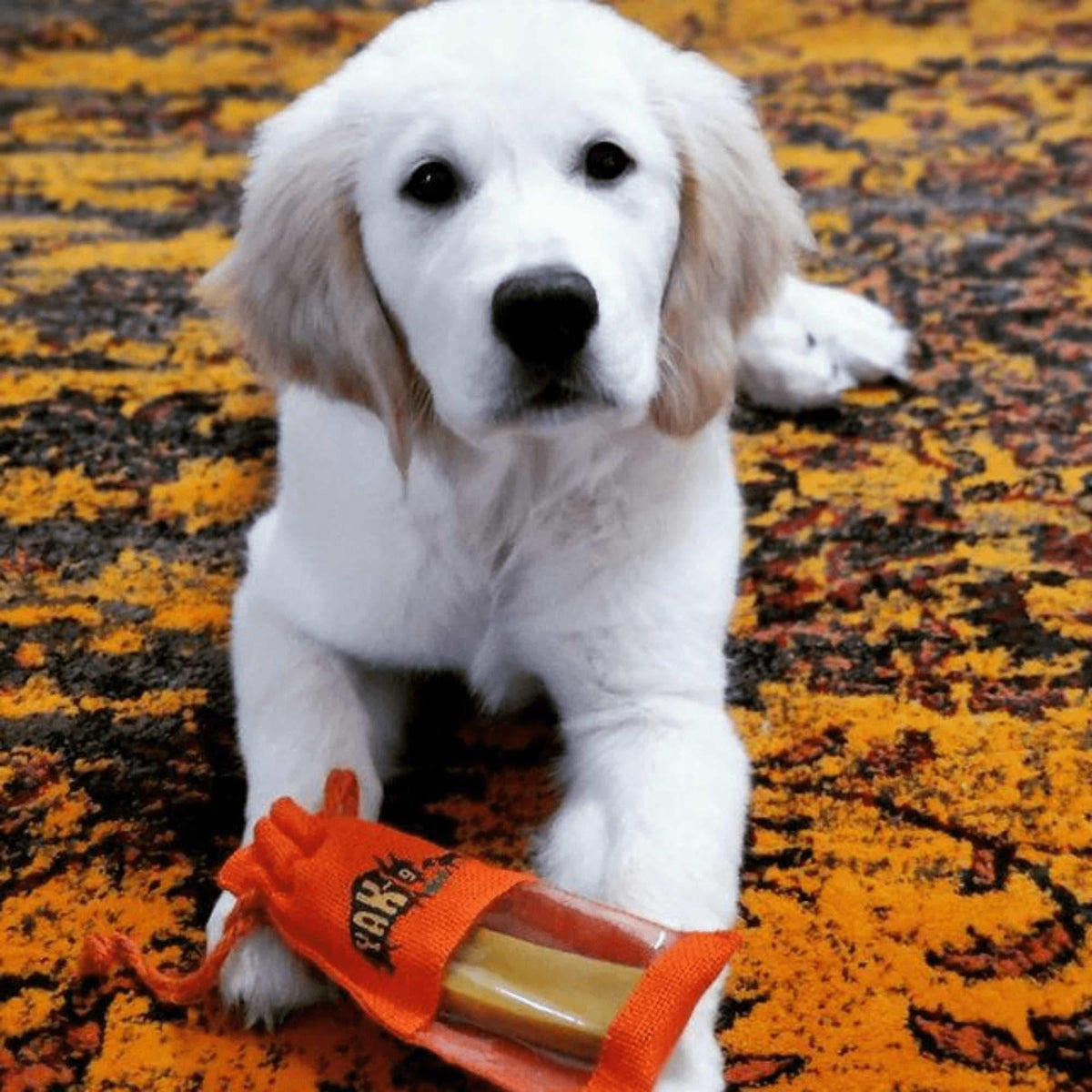 yak9 - Turmeric Yak Milk Chews for Dogs