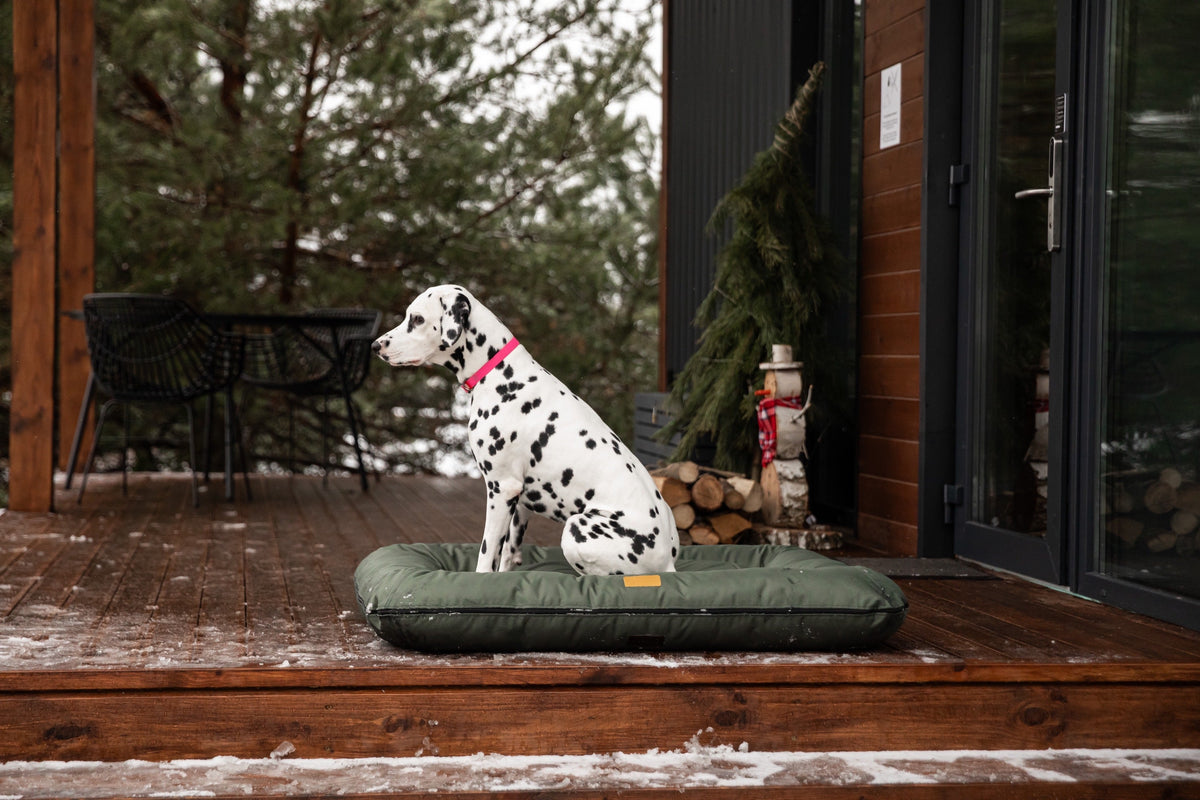 Chester & Lee - Waterproof Lounger Dog Bed Green